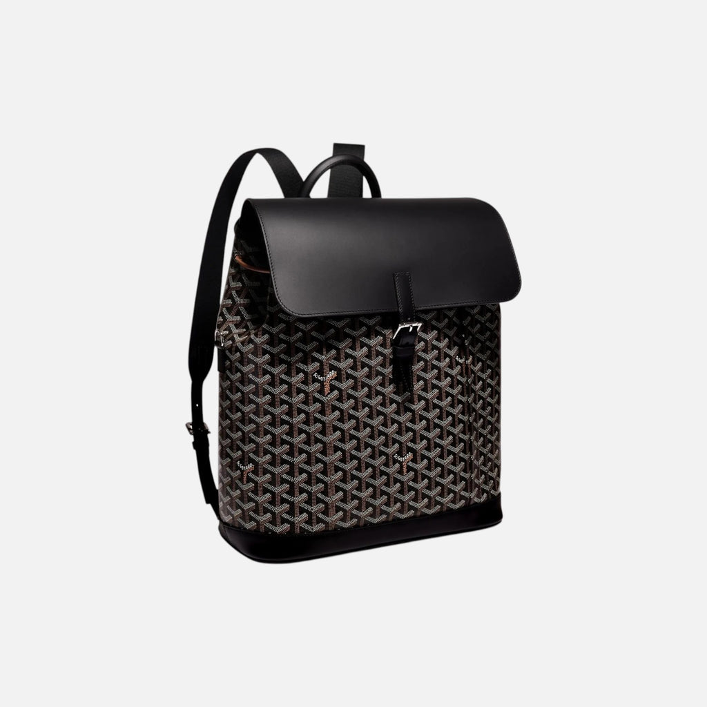 Goyard Alpin MM Backpack Black – Vugari Store